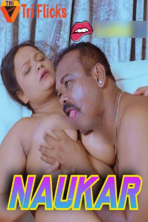 Naukar 2024 Hindi Triflicks Short Films Online