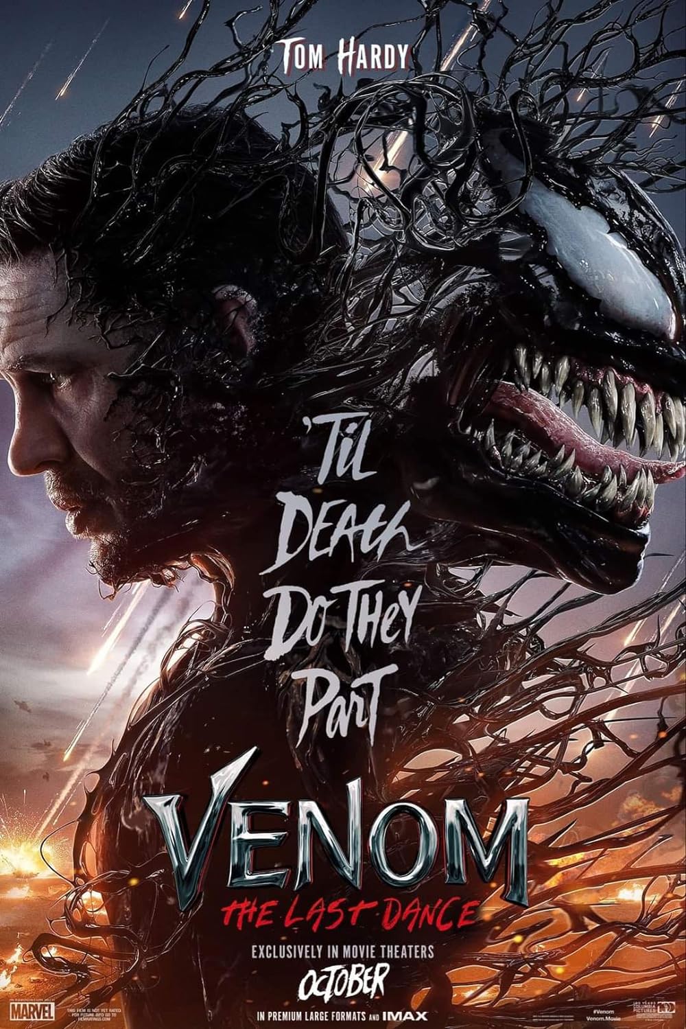 Venom The Last Dance (2024) Hindi Dubbed Movie Free Online