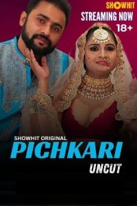 Pichkari 2024 Hindi ShowHit Short Films Online